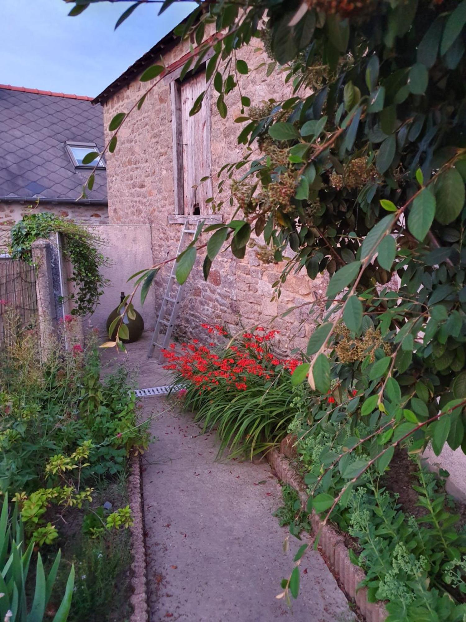 Les Forges Du Lou Leilighet Jugon-les-Lacs Eksteriør bilde