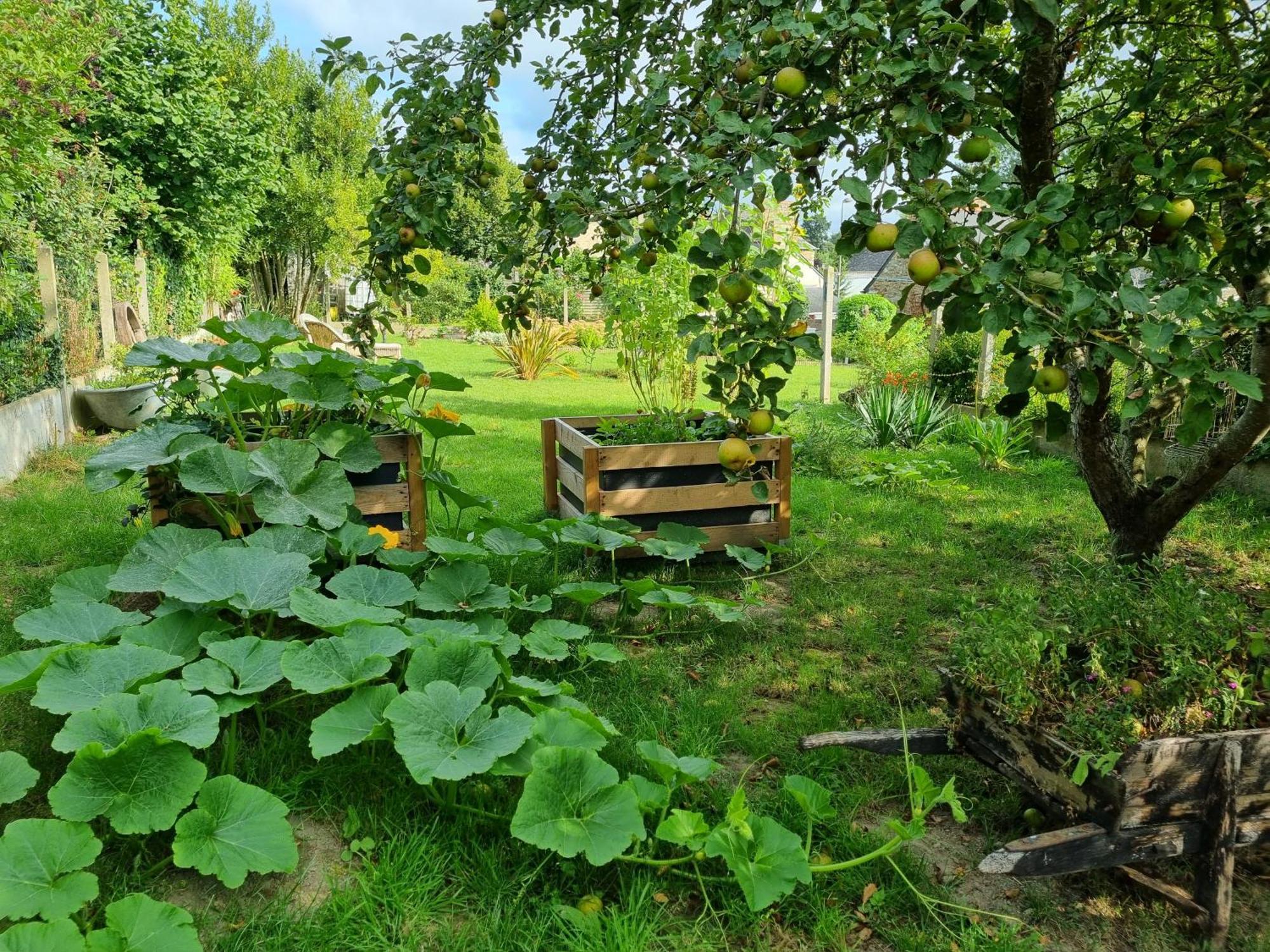 Les Forges Du Lou Leilighet Jugon-les-Lacs Eksteriør bilde